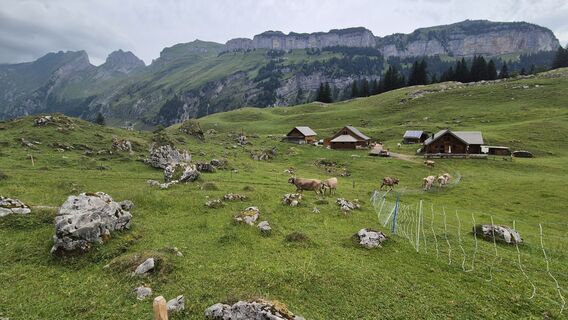 Photo de Its_bobo le long du parcours