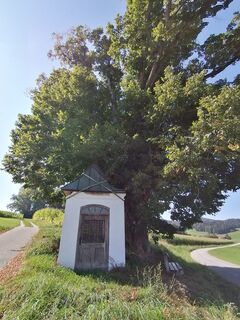 Kapelle bei der großen Linde in Poppen