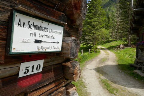 im Wald wird es dann steiler