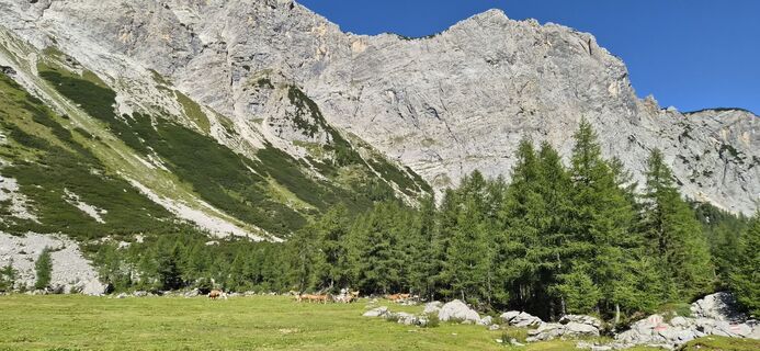 Foto von Julia Fruhmann entlang der Tour