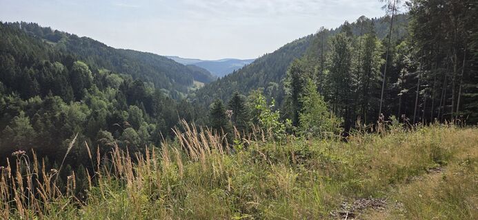 Foto de tzinzo a lo largo del recorrido