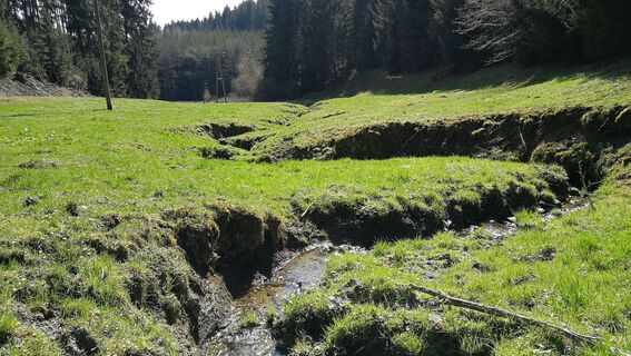 Zwischen Teichleite und Eichleite