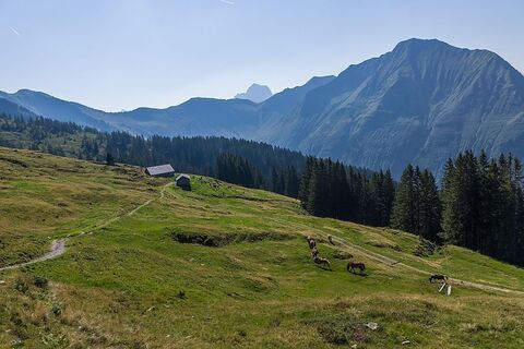 Blick auf Falzalpe