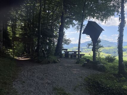 Fotografia z Angelika Schreiner na trase