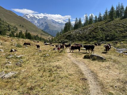 Foto von Natale Maffioletti entlang der Tour