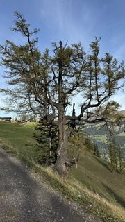 Fotó a peter_oe honlapról a túra során