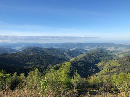 Tolle Aussicht in Richtung Rheintal / Vogesen
