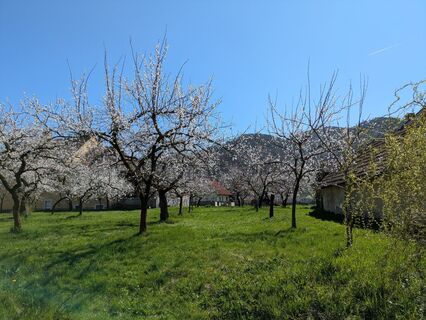 Fotografia z Edero na trase