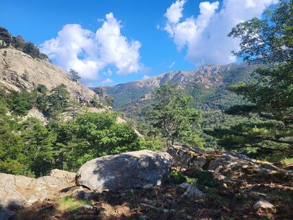 Fotografija s spletne strani Nikola Kasalová na poti
