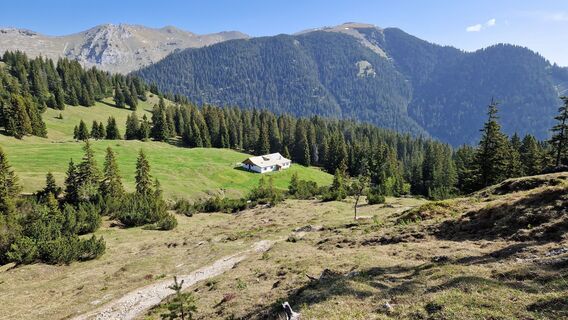 Die Hirschwäng Alpe auf schönem Almgelände