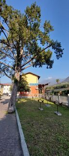 Fotografia z Mauro Geroldi (Gerry) na trase