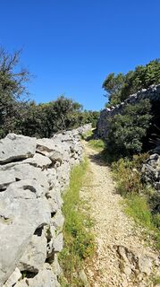 Fotografija s spletne strani Grieshofer Gerlinde na poti