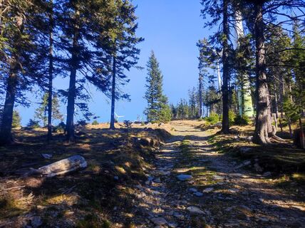 Foto von v.stein entlang der Tour