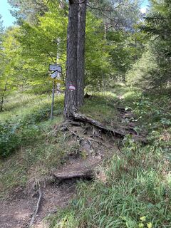 Foto von Andreas Gramsel entlang der Tour