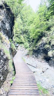 Fotografie de la Dominik Armbruster de-a lungul turului