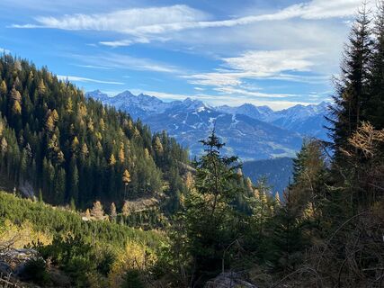 Foto von DH entlang der Tour