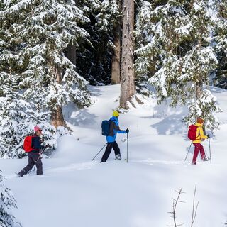 Schneeschuhwandern im Toggenburg
