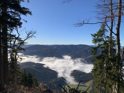 Foto von Mike-1958 entlang der Tour