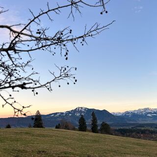 Blick vom Hochholder