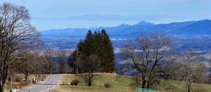 Фото с сайта Thomas Schekira во время экскурсии
