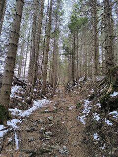 Foto fra Ildikó Dávidné Nagy undervejs på turen
