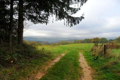 Ausblick auf den Hochwald