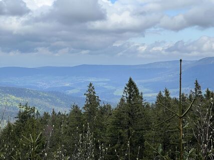 Fotografie de la Volki F. de-a lungul turului