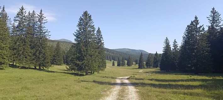 Foto von Bergpirat entlang der Tour