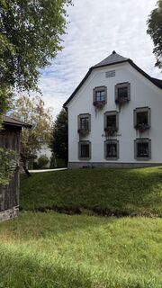 Zdjęcie z Viktoria wzdłuż trasy
