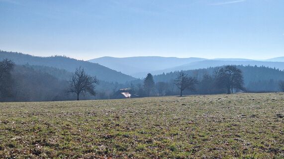 Foto de Regina Fleischmann a lo largo del recorrido