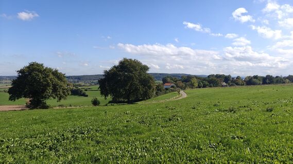 Foto von Ann VR entlang der Tour