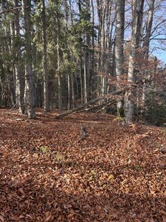 Foto von anna 99 entlang der Tour