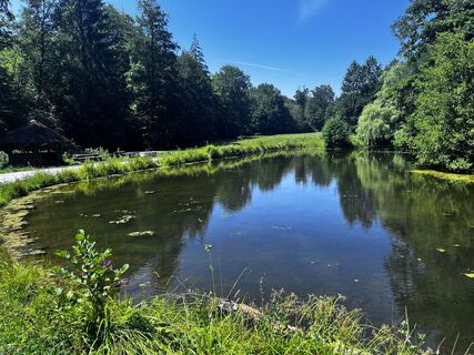 Photo de Hercule Poirot le long du parcours