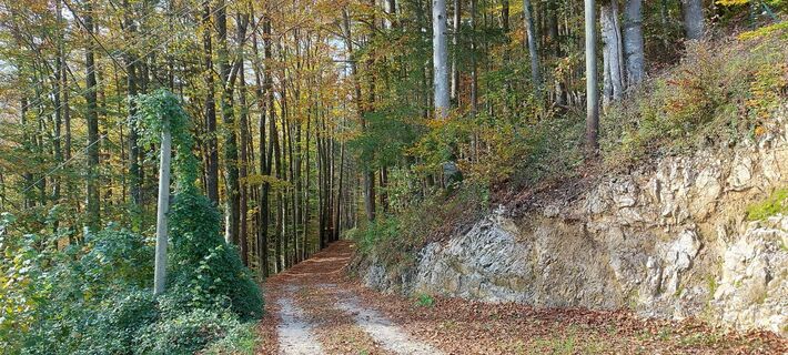 Photo de Hans Klamer le long du parcours