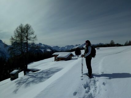 Mattlinger Wiesen, Aufstieg zum Grifitzbühel