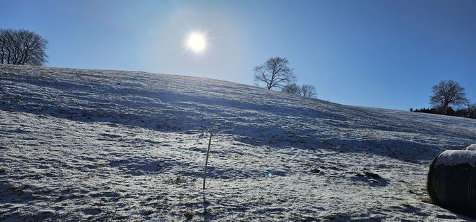 Fotografia z Nico na trase