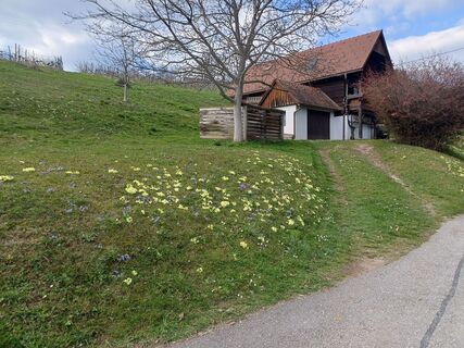 Foto von Franz Jandl entlang der Tour