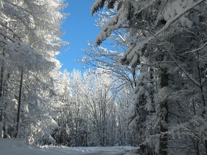 Winter Hohe Wand