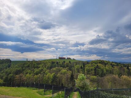 Fotografie de la Juliane Jarke de-a lungul turului