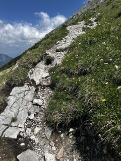 Foto von Carola Krems entlang der Tour