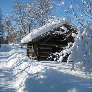 Winterwandern in Bad Bayersoien