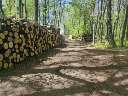 Photo de Làszló Visi le long du parcours