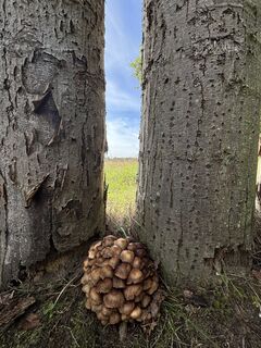Foto von Jimmy B entlang der Tour