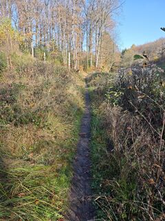 Fotografie z Björn Heun na trase