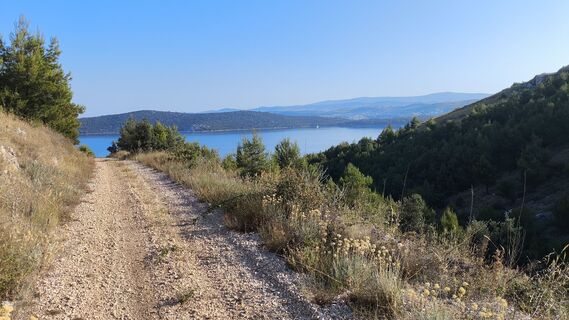 Fotografia z WilliSt na trase