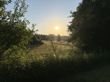 Fotografija s spletne strani Schaali na poti