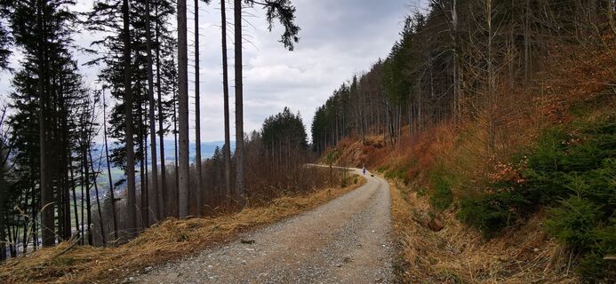 Fotografie de la Klaus Lehner de-a lungul turului