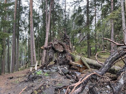 Photo de andreas edlinger 5 le long du parcours