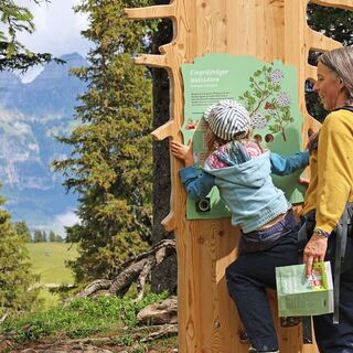 Erlebnisweg Rohan Rothirsch: Kinder lösen an verschiedenen Stationen Rätsel, erfüllen aktiv Aufgaben und erleben die spannende Geschichte von Rothirsch Rohan.