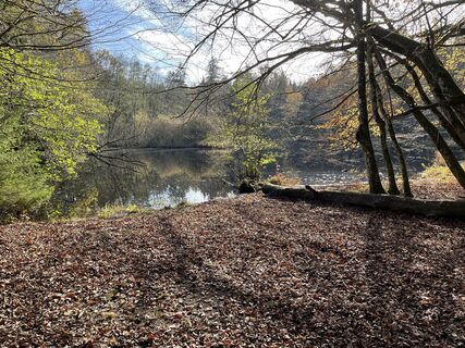 Foto von Stefan entlang der Tour